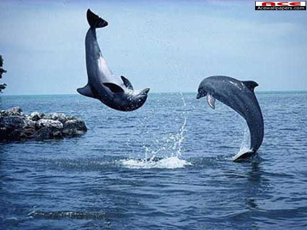 Позитивный