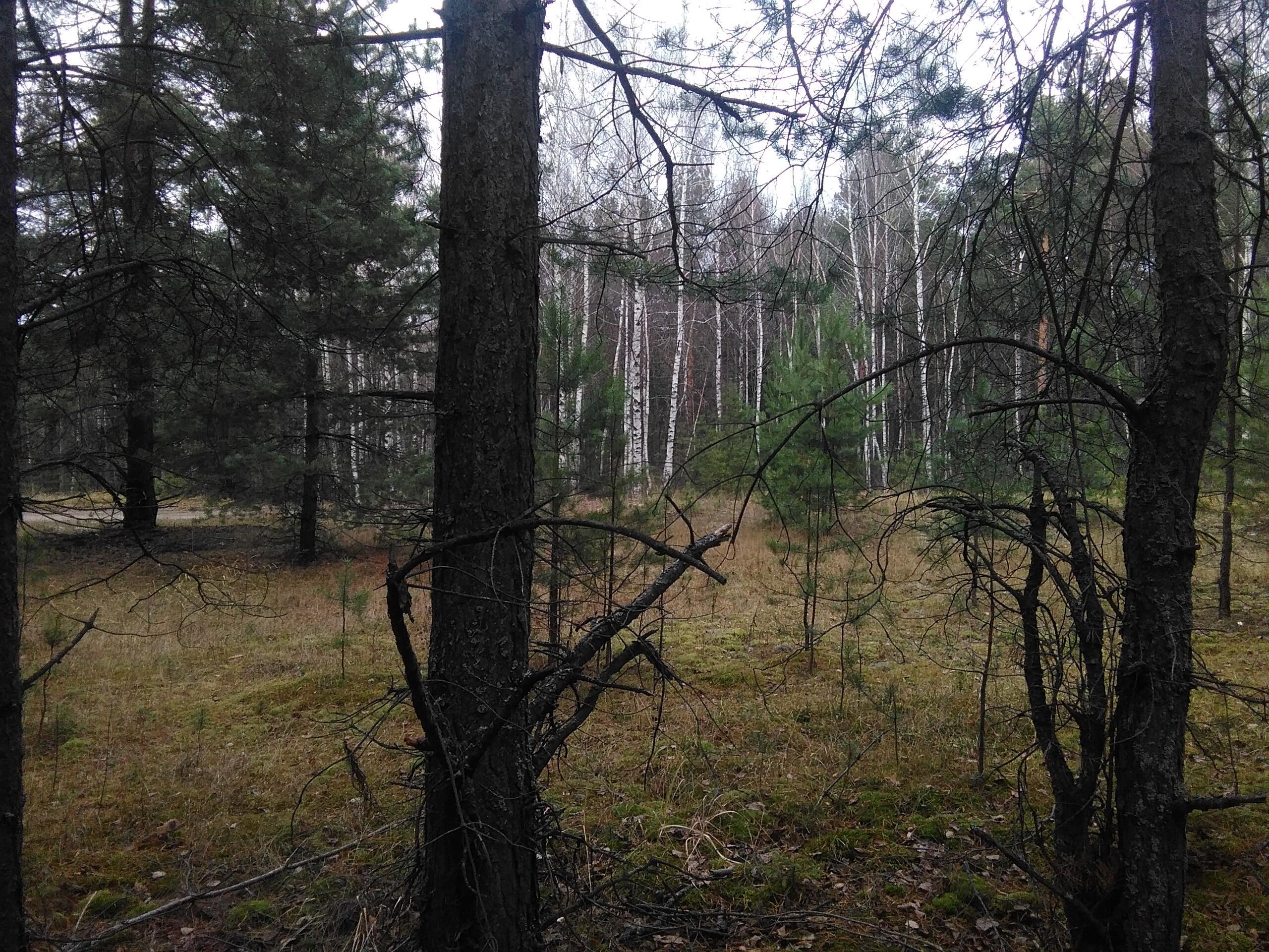 Неласковый апрель