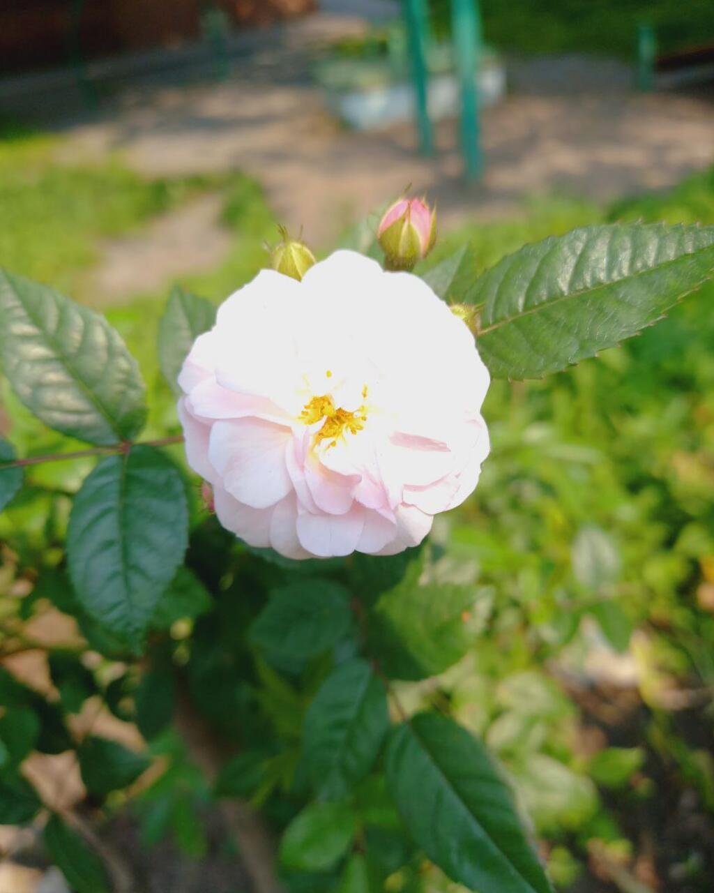 Притяжение