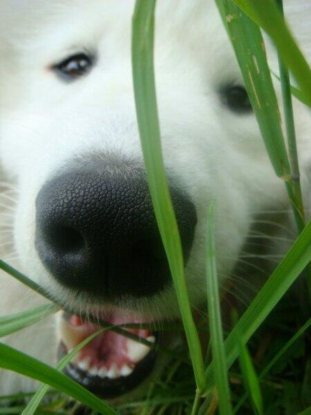 Я очень тебя люблю...