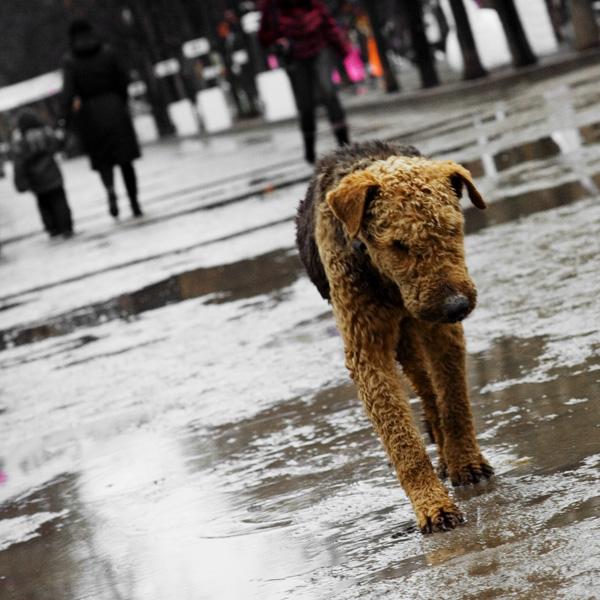 Ты хозяин, тебе видней...