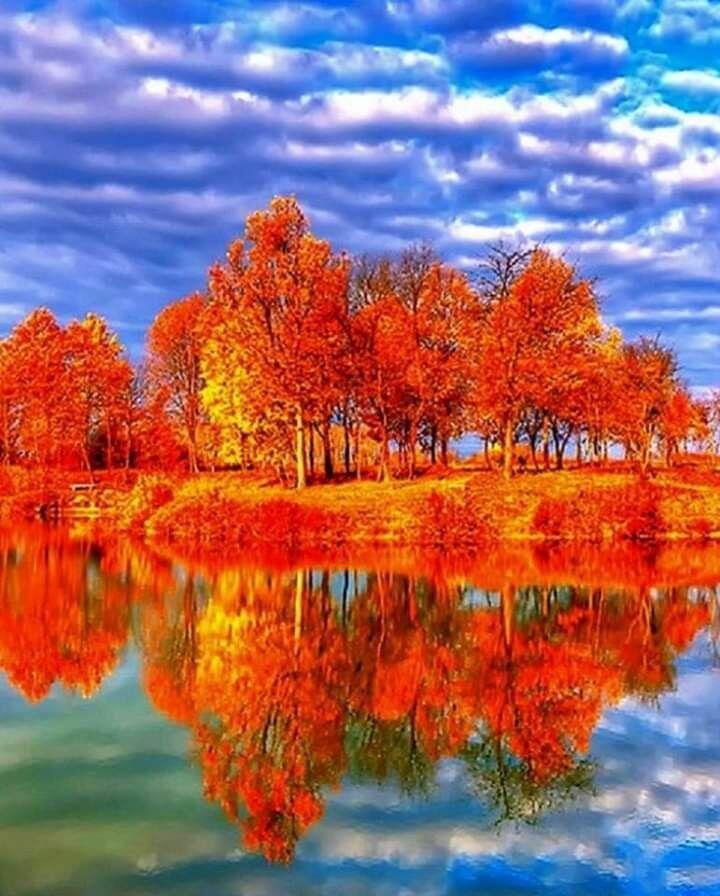 Какая красота в природе