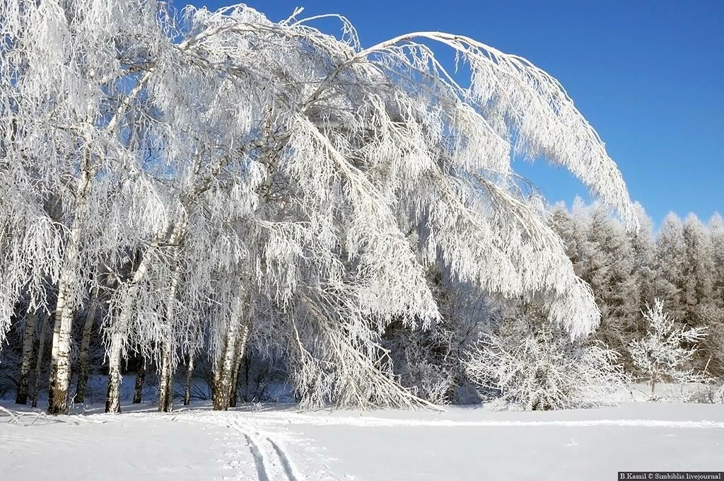 НАСТОЙЧИВЫЙ БУРАН