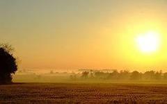 Мы не живем, скорее спим