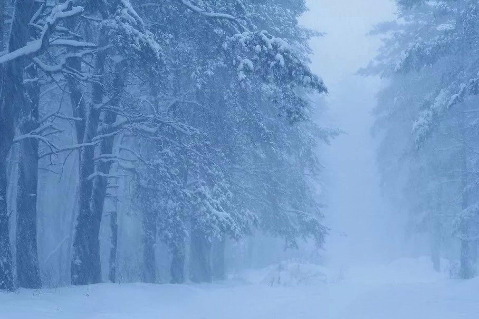 Разойдись метель