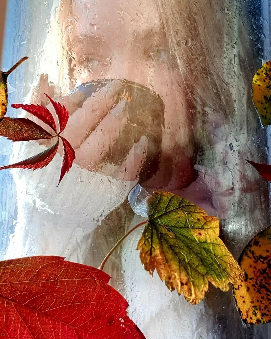 Под шелест жёлтых ливней листопада