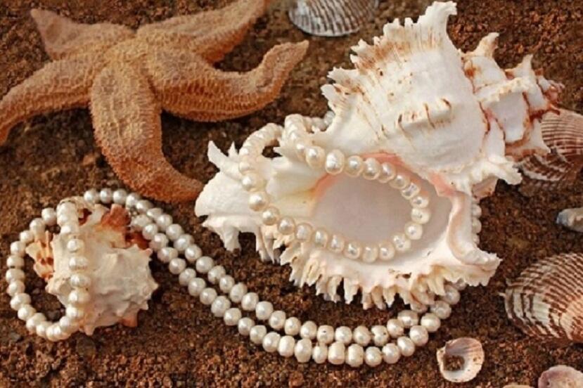 Сонет «Ночами в снах тону я в море»