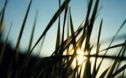 Когда душа, как небо, высока