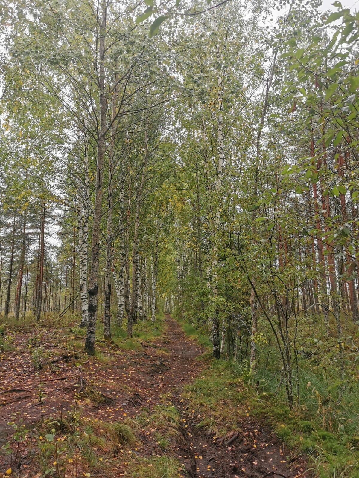СЧАСТЬЕ ОСЕНИ