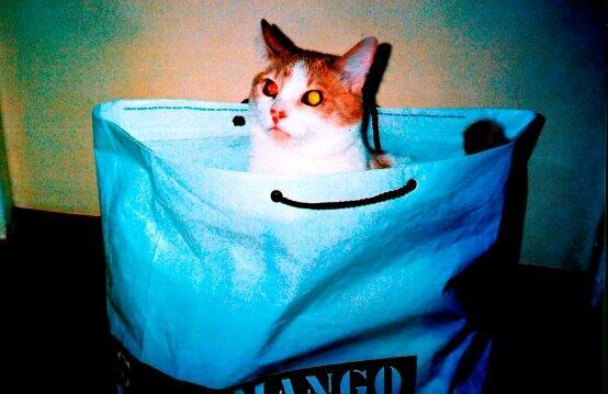 Приглашаю в гости