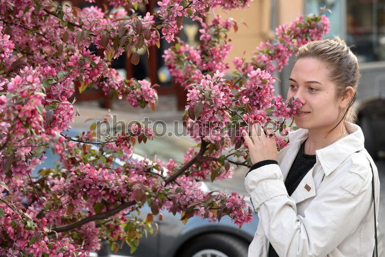 АРОМАТЫ  НЕЖНОСТИ