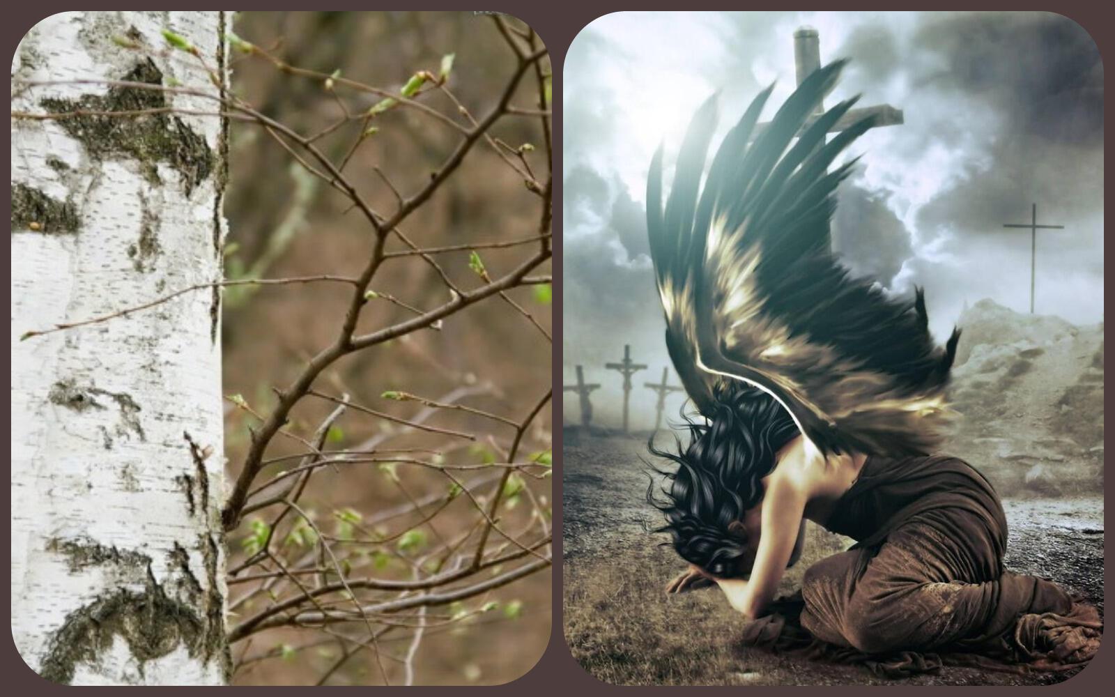 Наклонила до земли прутики береза,    Галинка Багрецова