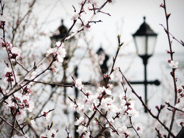 Ты будешь поводом не улыбаться.