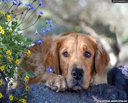 Всё относительно...