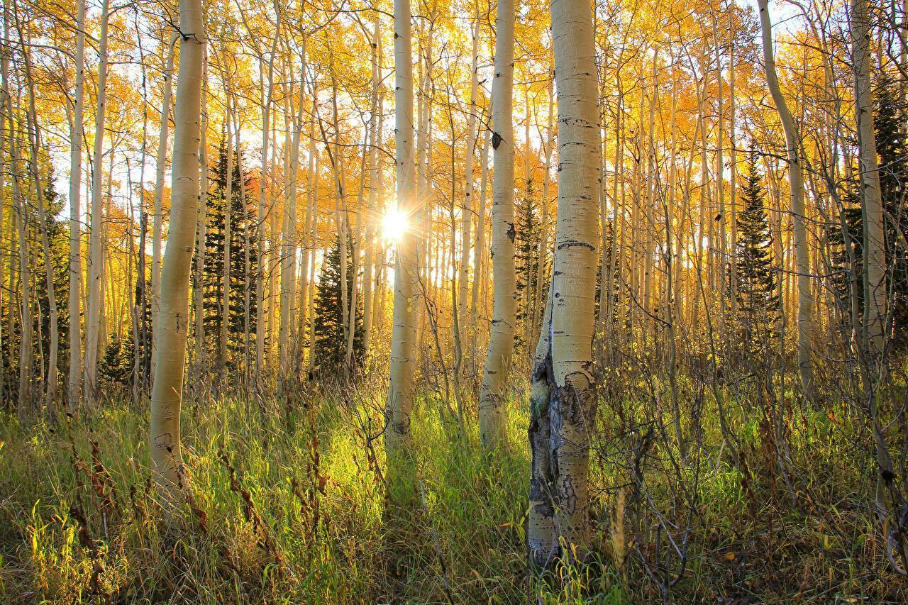На сердце радость и покой, красиво осени убранство...