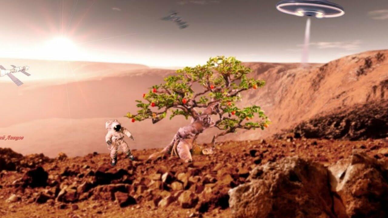 Сады на Марсе
