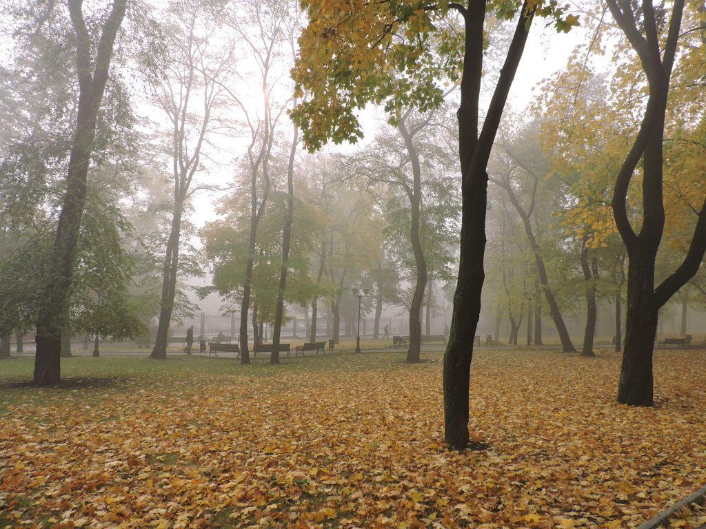 Пальцы осени...