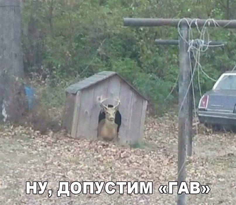 О ПРИСТАВКАХ