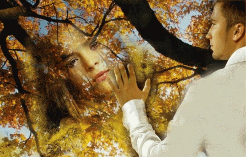 Не радует осенний мир цветной.