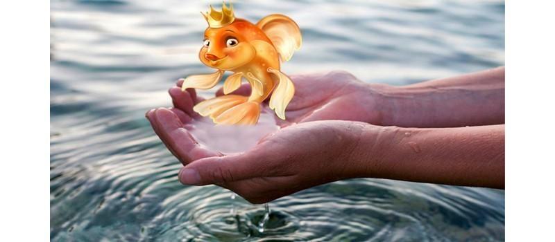 Закинь меня...