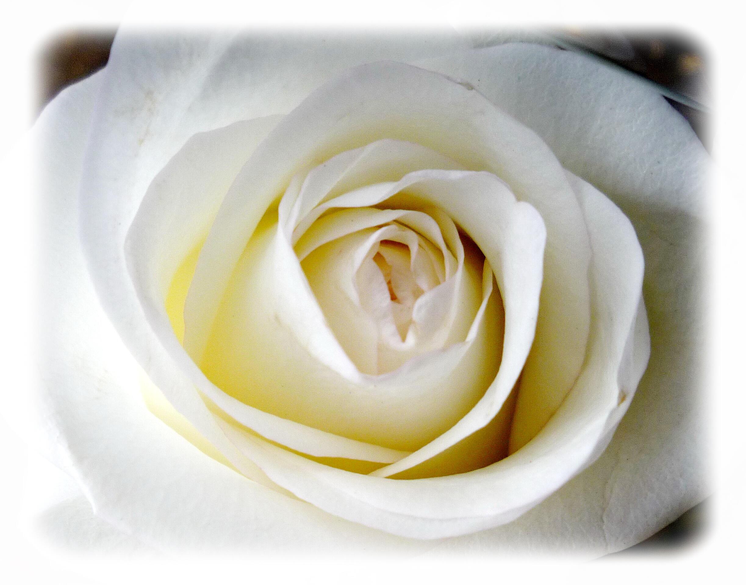 Искать надо сердцем...