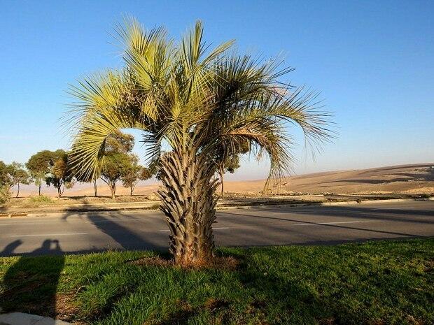 Я буду ждать тебя