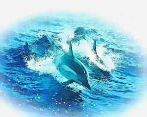 Волна за волной