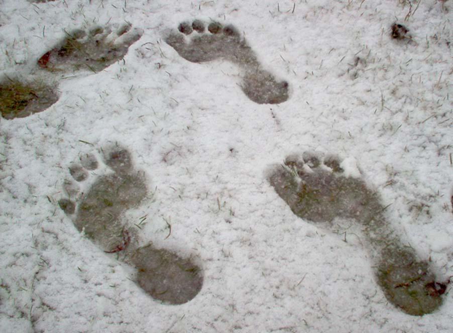 След недели будет. Следы человека на снегу. Отпечаток человека на снегу. След ноги человека на снегу. Отпечаток ноги человека и снежного человека.