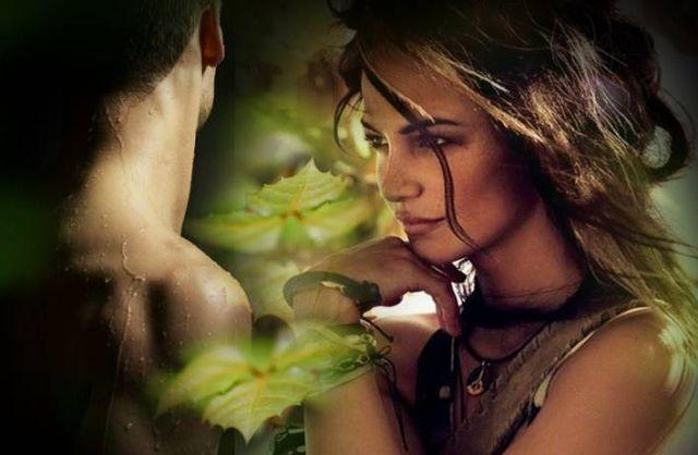 Плетистых роз восточный аромат...