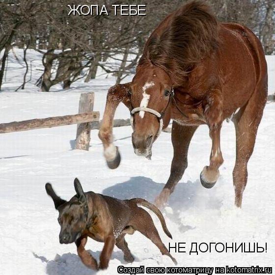 Помни это!!!!!!!!!