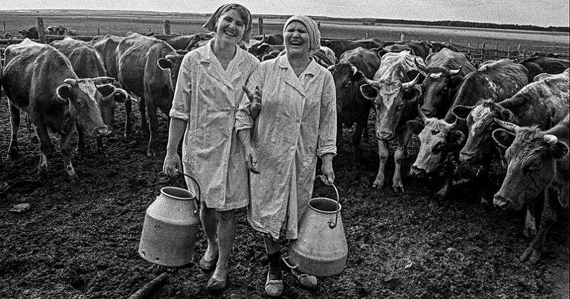 Последний колхозник