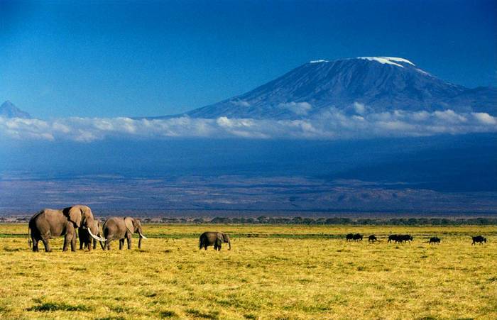 Снега Килиманджаро ( по рассказу Э.Хемингуэя)