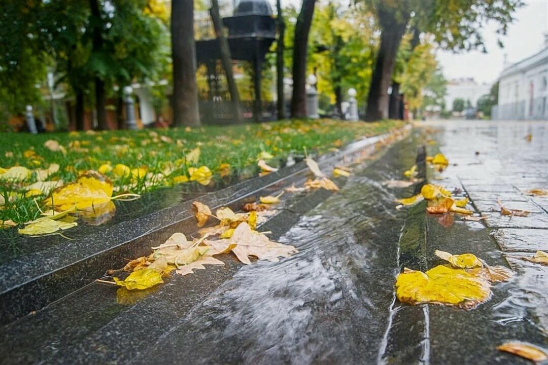 Нас «Бабье лето» посетило...