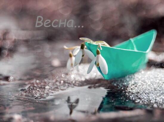 На север, ветром, принесло тепло