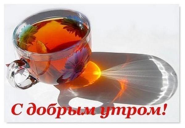 С утра старуха, словно вихрь