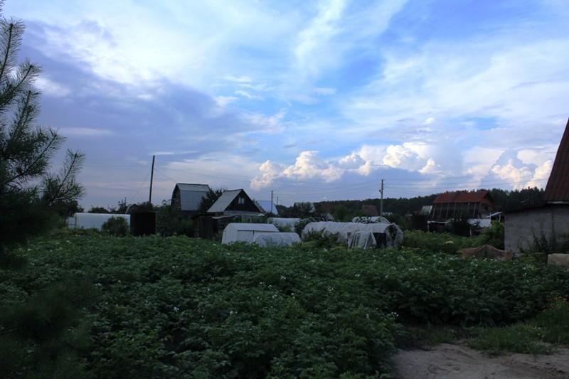 Дачи марта.