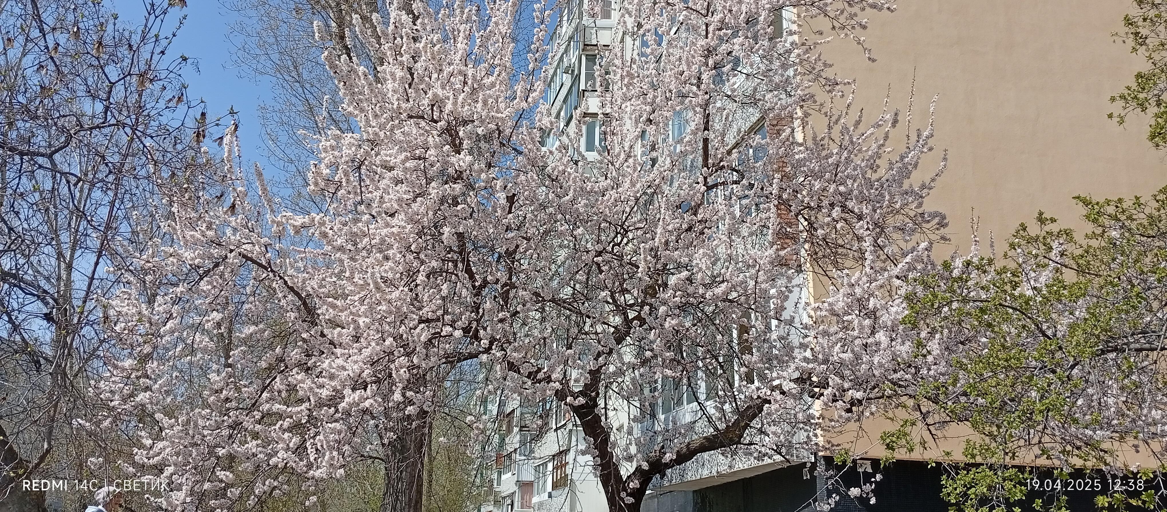 Я знаю, что ты больше не напишешь...