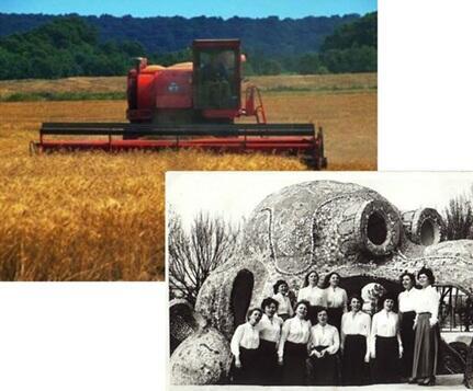 КУБАНЬ-КРАСАВИЦА - песня