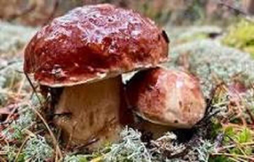 СТИХИ ДЕТЯМ_5