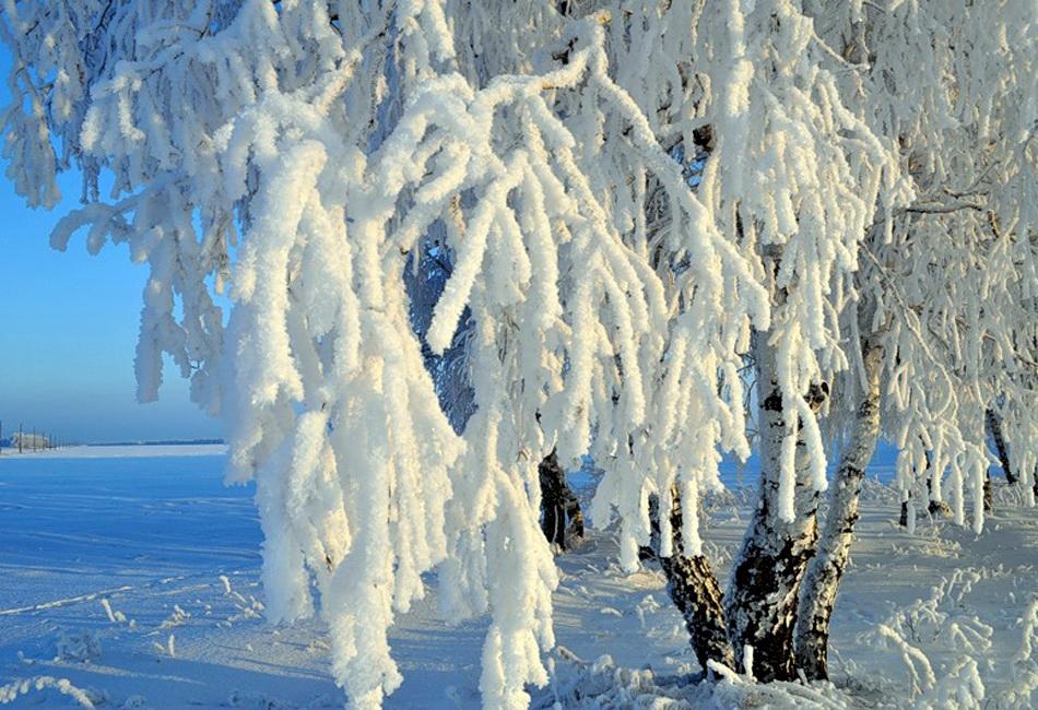 Февральская зима