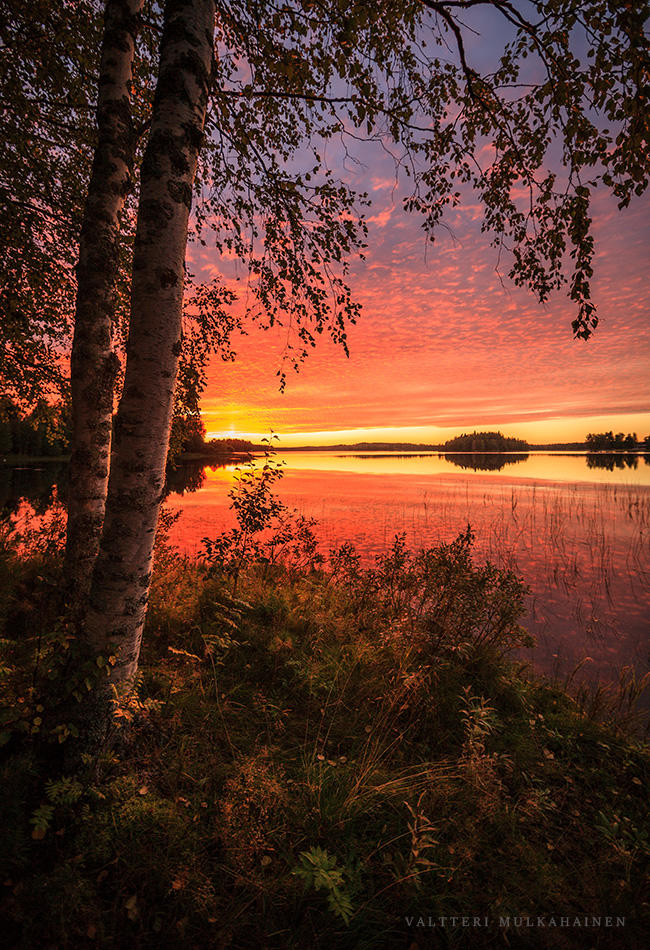 МЫ ЛЕТО ОТПУСТИМ В ДРУГИЕ МИРЫ