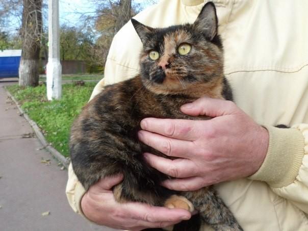 А У НАС СЕГОДНЯ РАДОСТЬ ! (Быль)