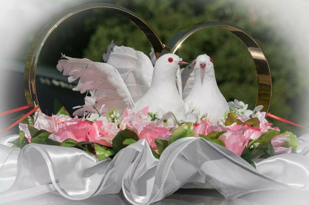 Придёт счастье