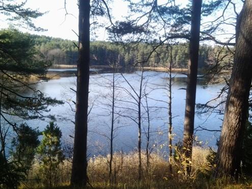 Разговор с озером