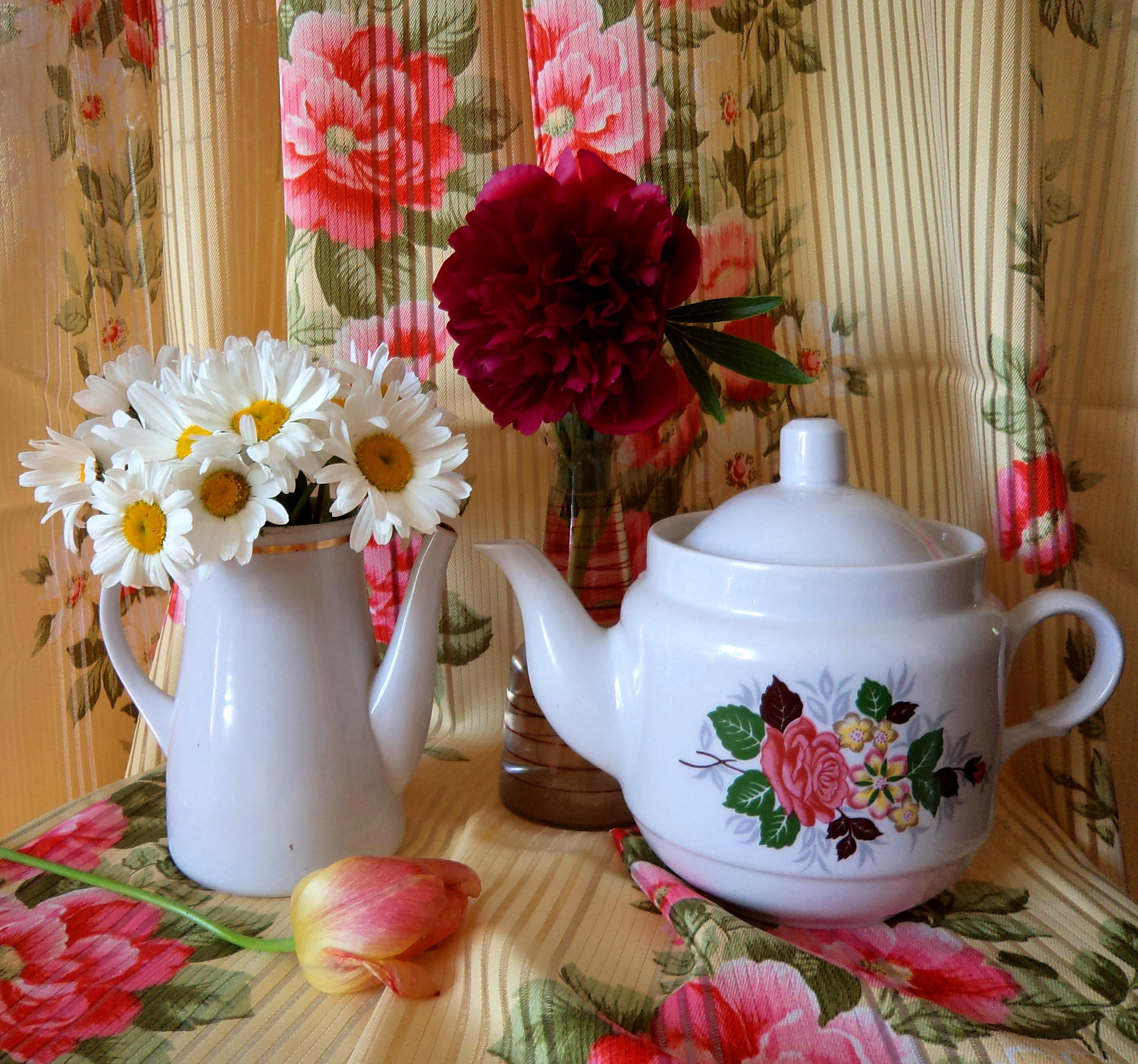 ...ПРОЩАЛЬНАЯ ПЕСНЯ ВЕСНЫ...