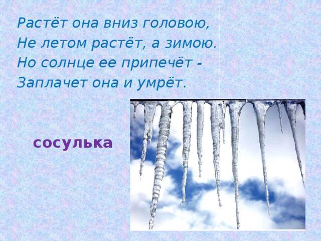 Белая морковка зимой растет ответ. Загадка про сосульку. Загадка про сосульку для детей. Загадка на тему сосулька. Зимние загадки про сосульку.