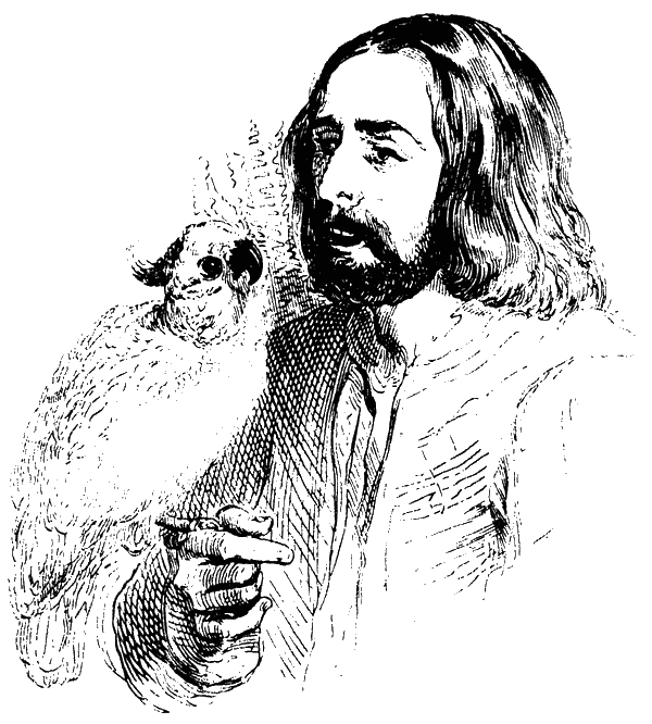 Приключения на острове