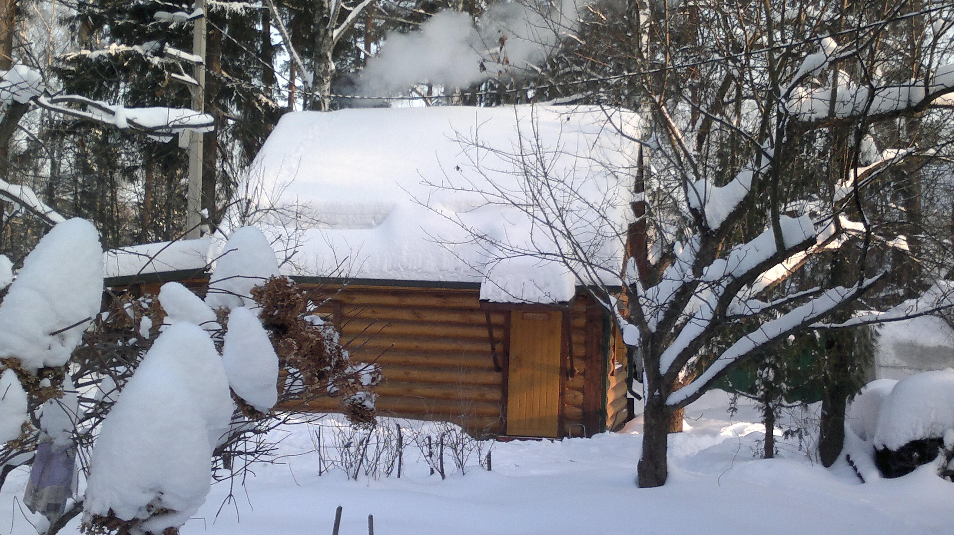 дачные размышления от 10. 06. 2011