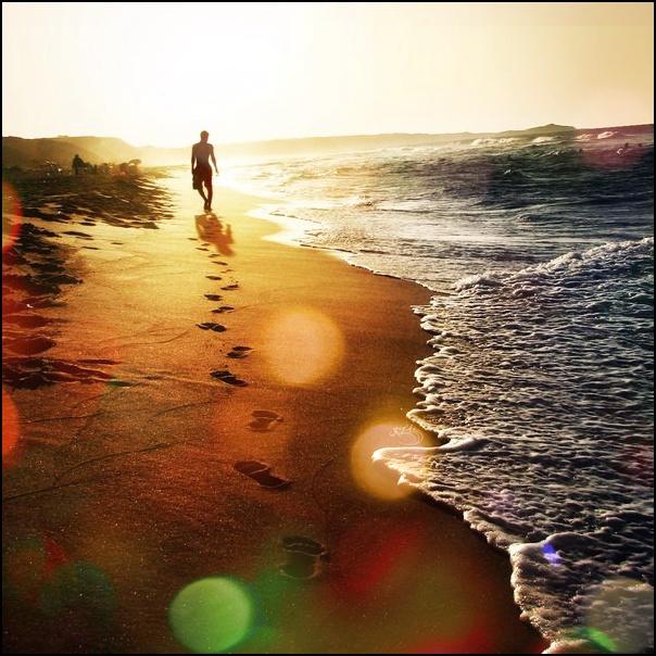 Ответ поэту - Виноградов Вадим - Отгорели багряные зори