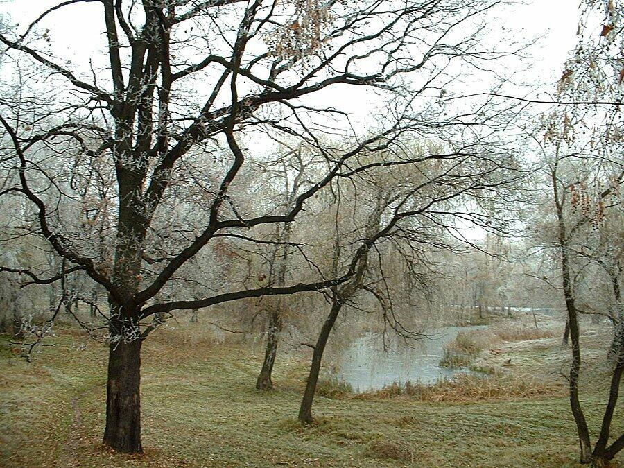 Умершее могло быть спасено